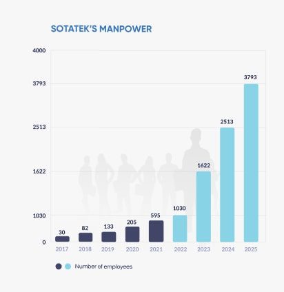 SotaTek manpower