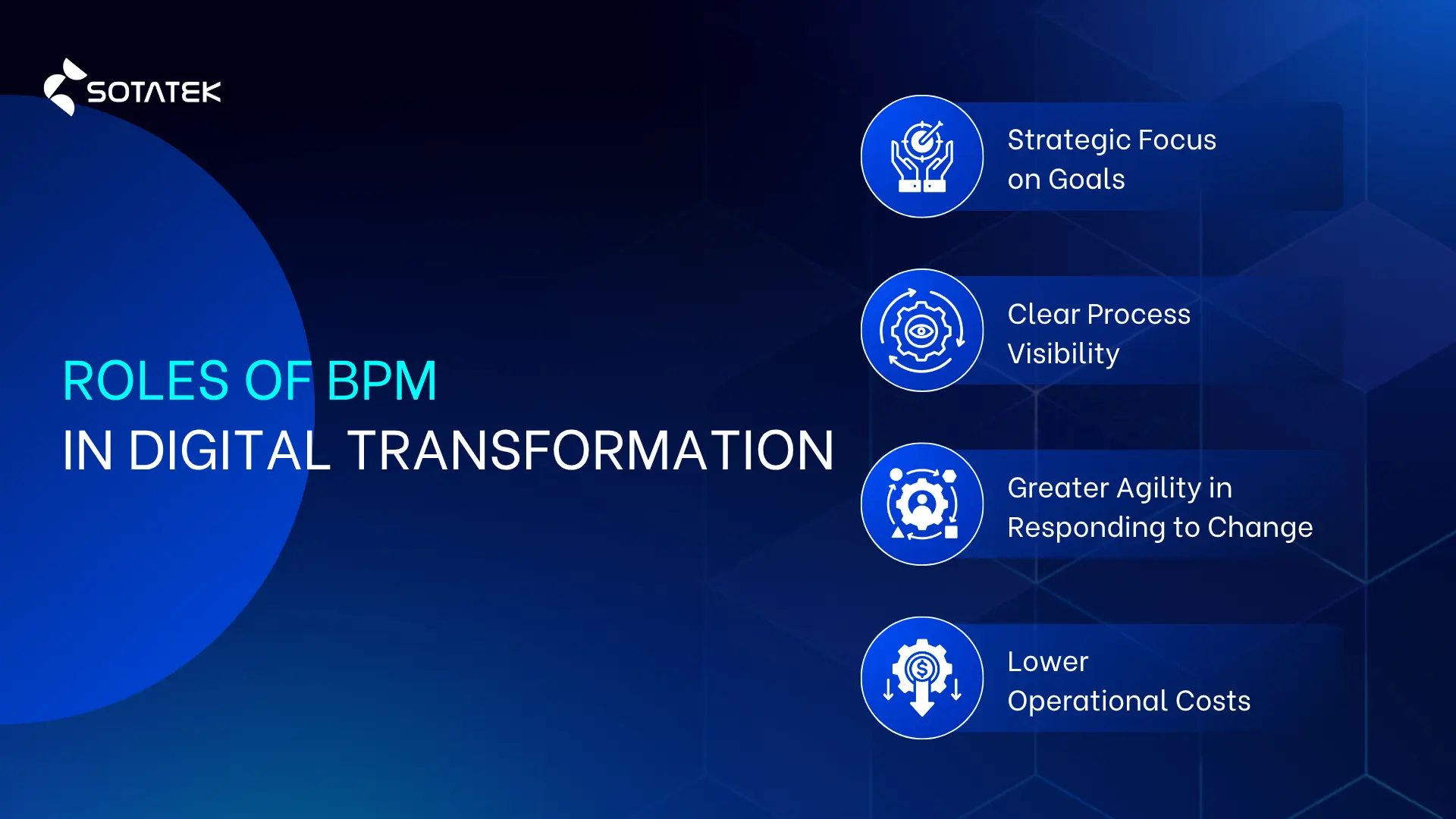 Roles of Business Process Management in Digital Transformation