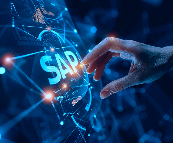sap-ecosystem-3