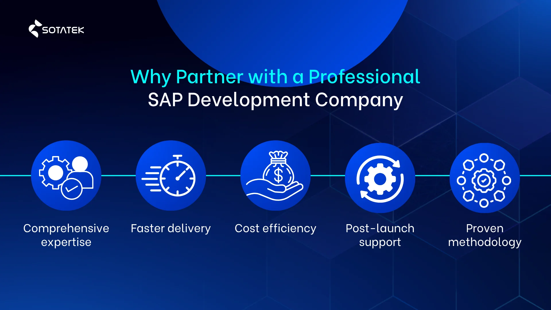 Why Partner with a Professional SAP Development Company
