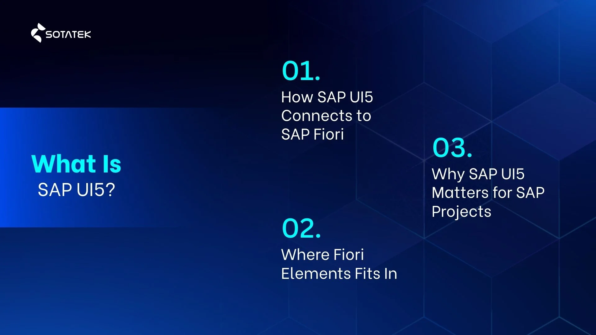 What Is SAP UI5?