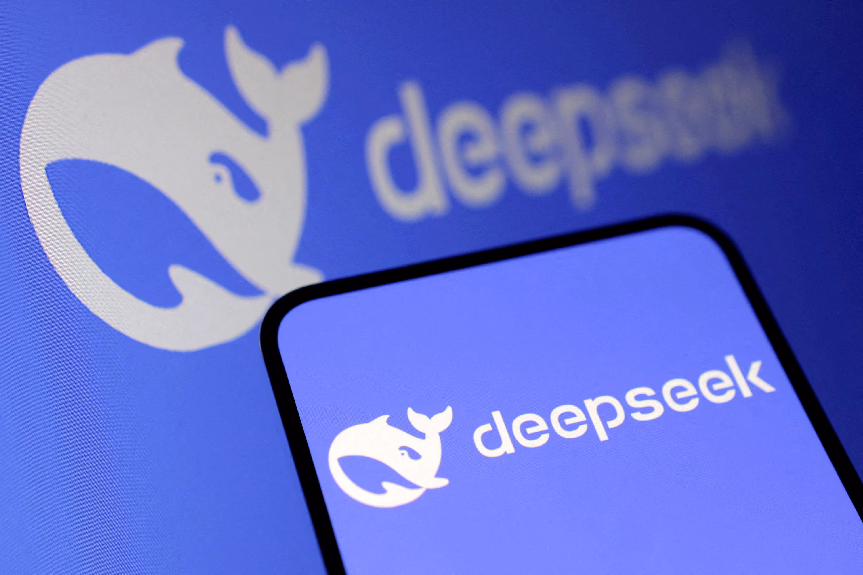 deepseek-information