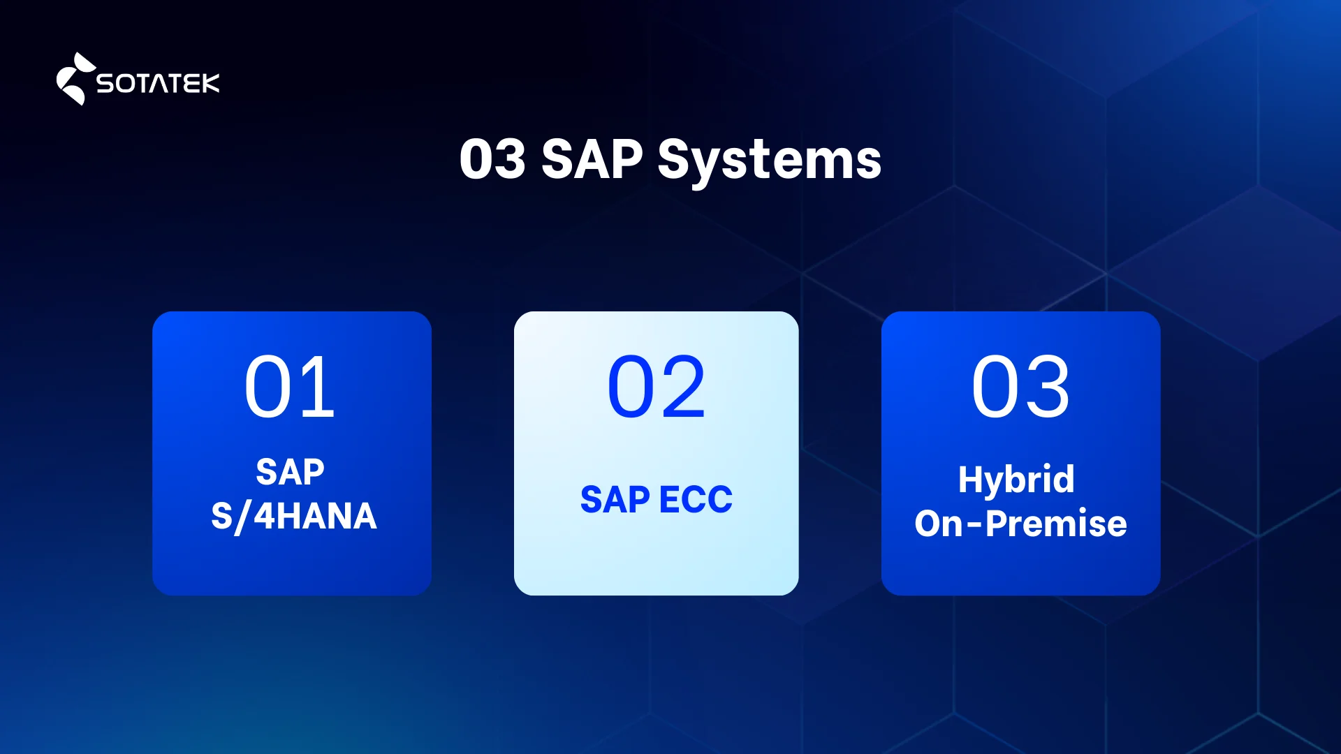 3 SAP Maintenance Services systems